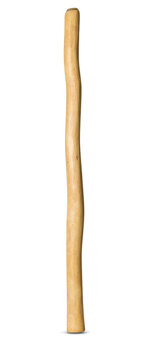 Medium Size Natural Finish Didgeridoo (TW451)